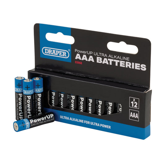 AAA BATTERIES - PACK OF 12