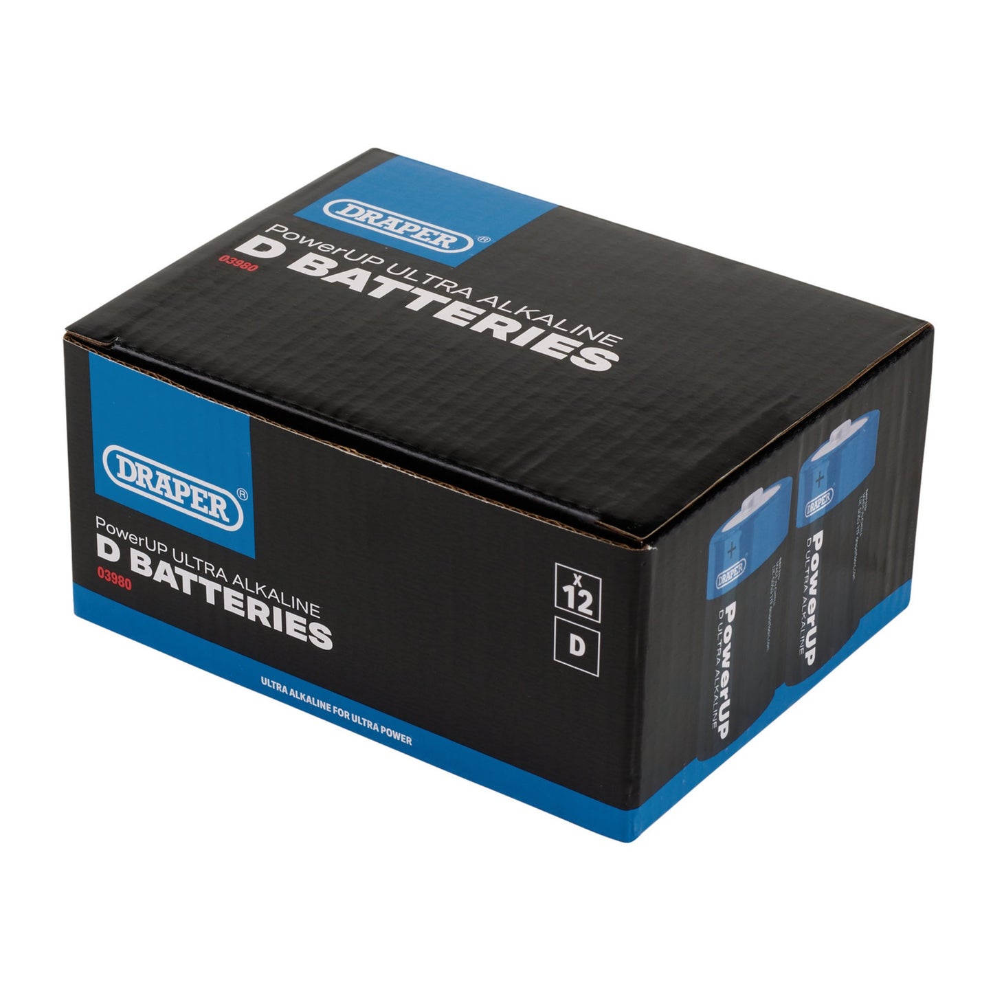 D BATTERIES - PACK OF 12