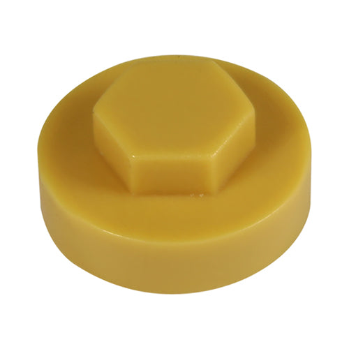 Hex Head Cover Caps - Bamboo
