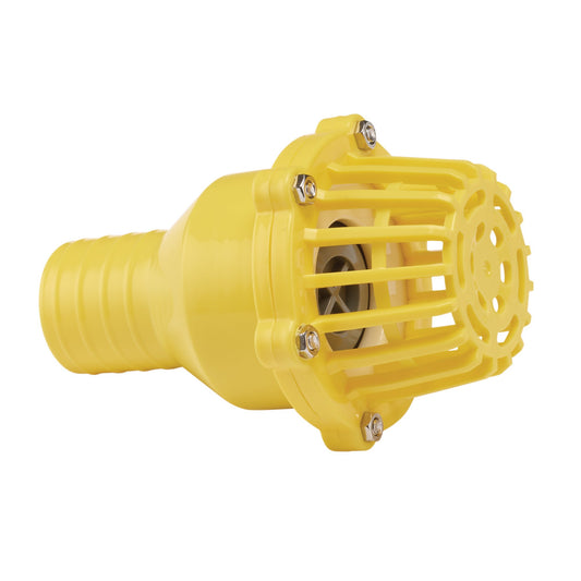 FOOT VALVE STRAINER 2"