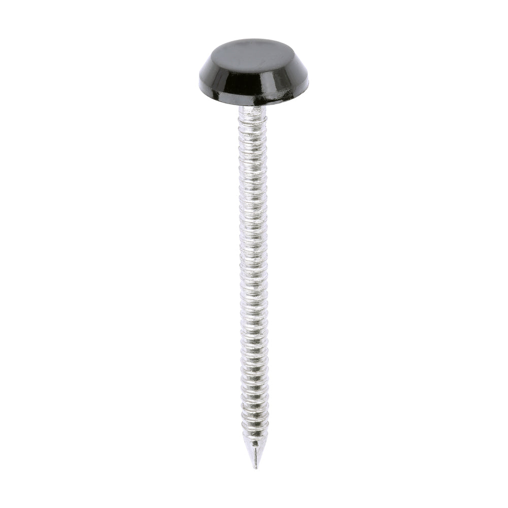 Polymer Headed Nails - A4 Stainless Steel - Black