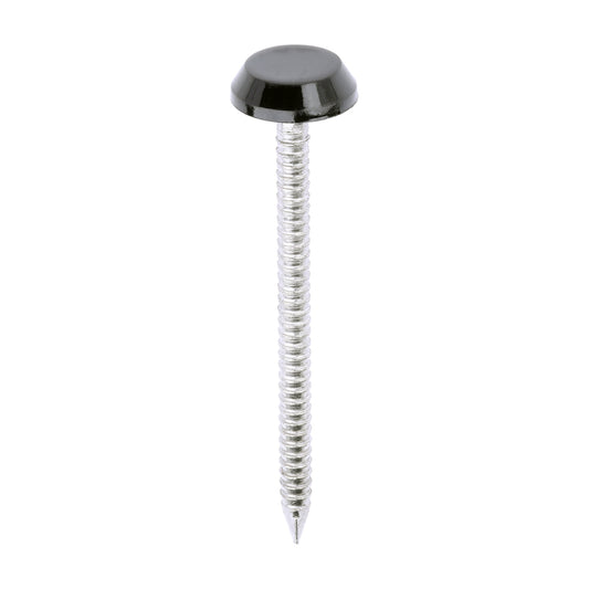 Polymer Headed Nails - A4 Stainless Steel - Black